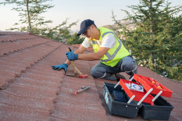 Best Tile Roofing Contractor  in North Star, DE